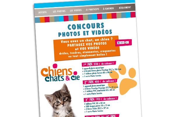 Chiens et Chats